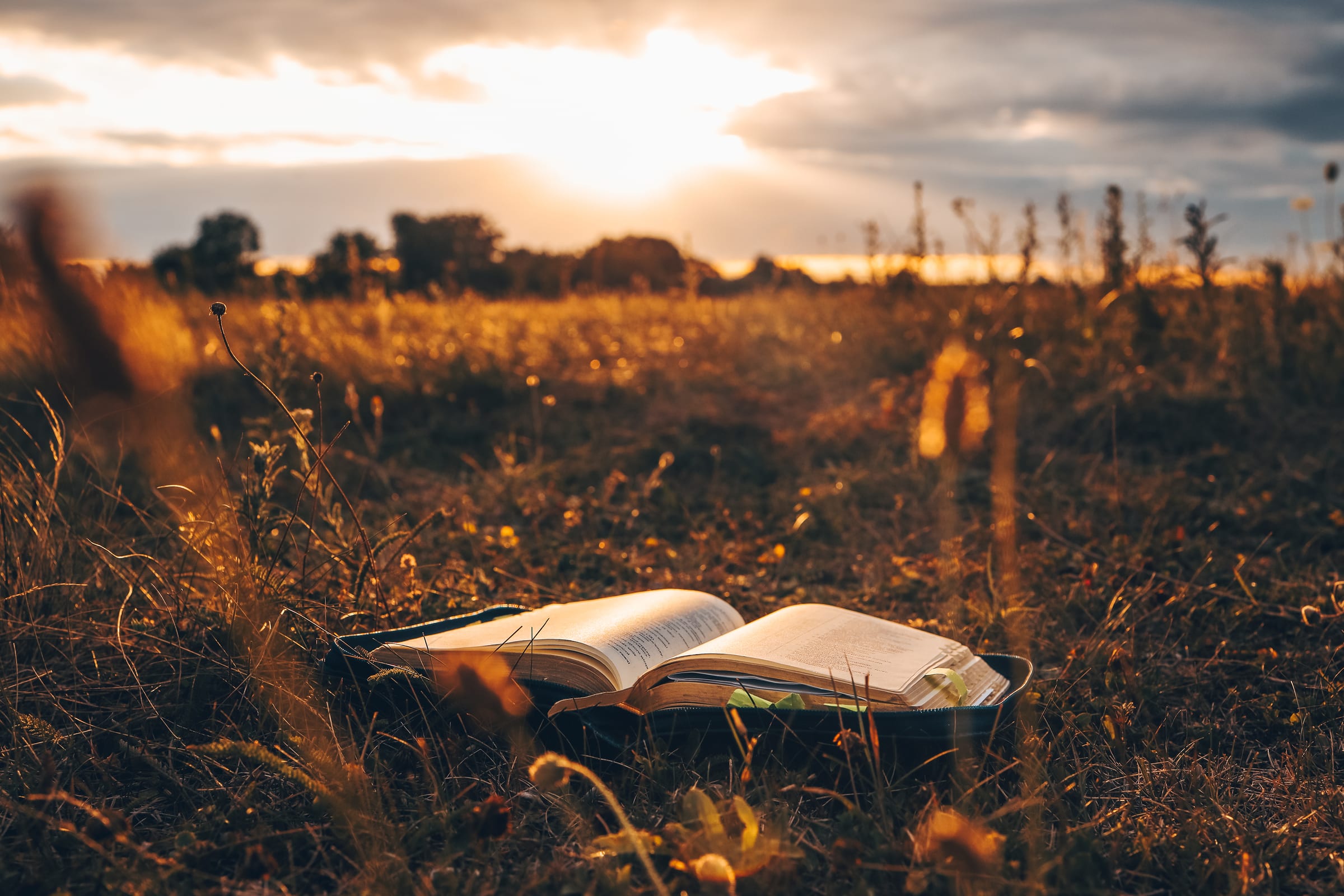 An open Bible at golden hour