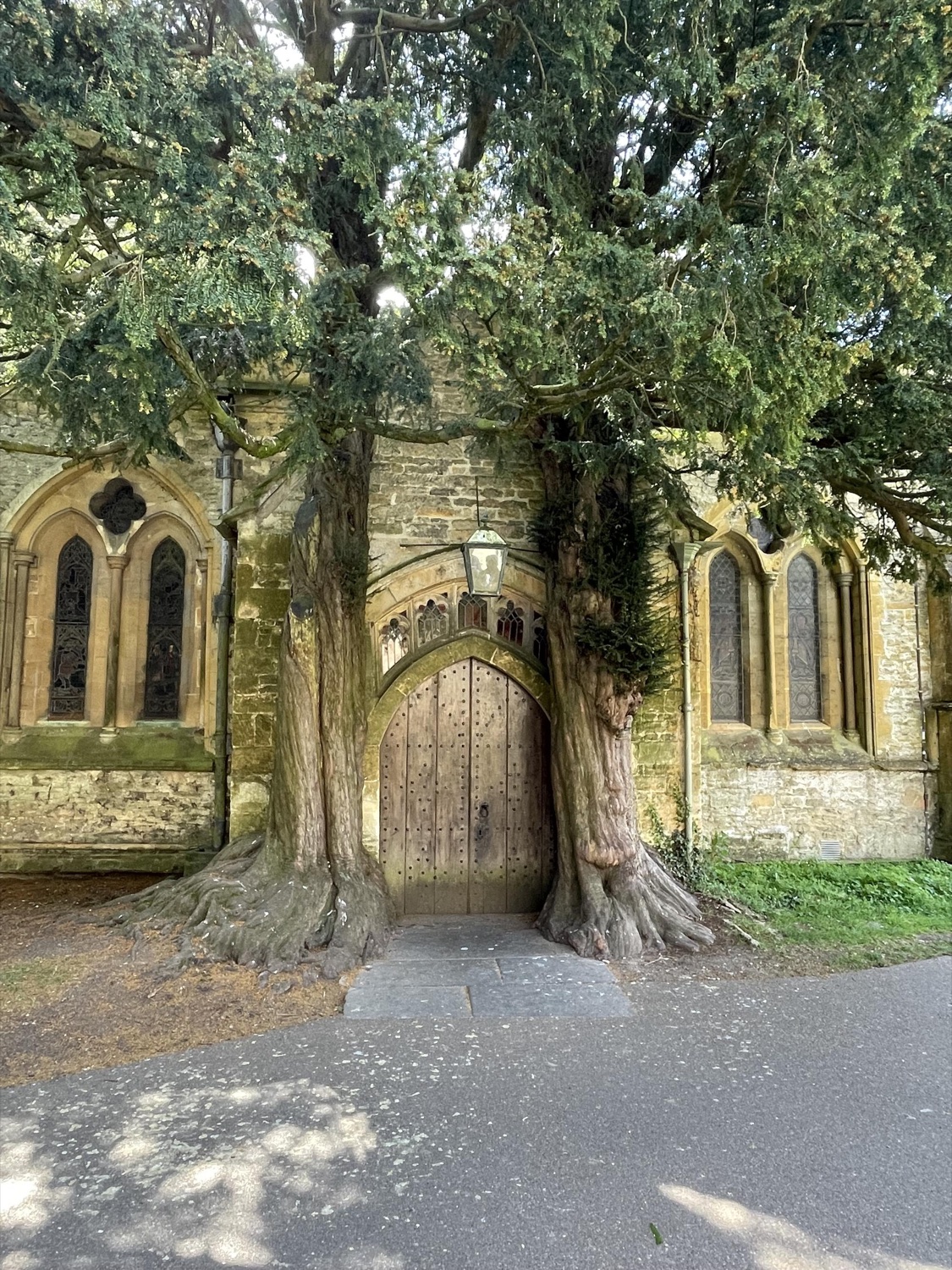 Ancient yew trees framing the arched wooden door of a Cotswolds stone church
